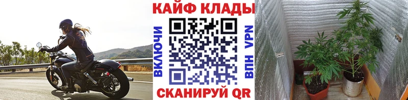 Купить наркотик Льгов ГАШ АМФ СОЛЬ МЕФ Канабис